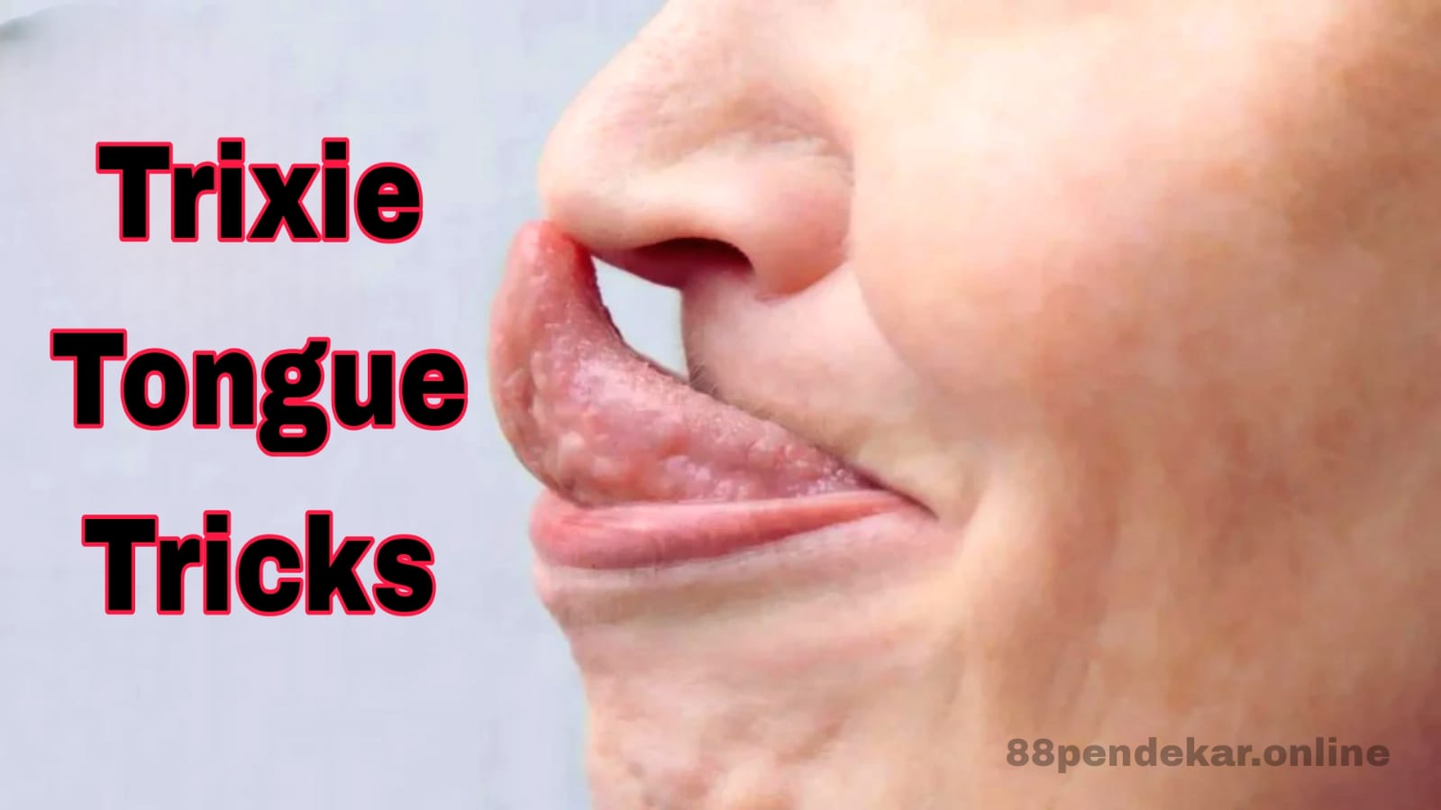 Trixie Tongue Tricks: A Playful Guide